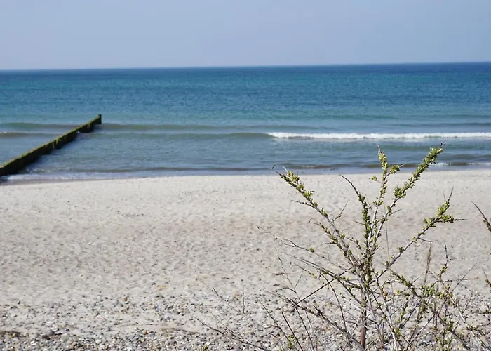 アパート Birkenhof 12